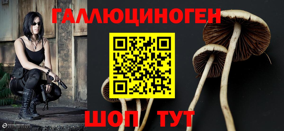 купить закладку  Галлюциногенные грибы мухоморы  Вход с VPN  Печора 